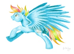 Size: 900x651 | Tagged: safe, artist:starsong, oc, oc only, oc:random dash, pony, a world renewed, solo