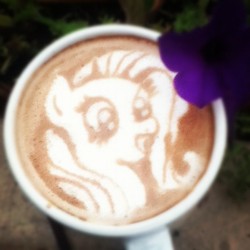 Size: 612x612 | Tagged: safe, artist:cappuccinofrosting, fluttershy, pony, g4, coffee, latte