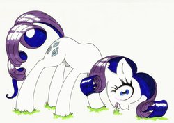 Size: 2276x1612 | Tagged: safe, artist:oddwarg, rarity, g4, caught, grass, grazing, herbivore, horses doing horse things, solo, traditional art