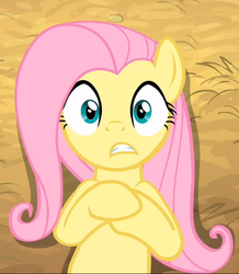 Size: 569x652 | Tagged: safe, screencap, fluttershy, pegasus, pony, g4, female, mare, shadow, solo