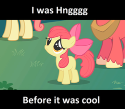 Size: 500x438 | Tagged: safe, edit, edited screencap, screencap, apple bloom, big macintosh, gala appleby, earth pony, pony, friendship is magic, g4, adorabloom, apple bloom's bow, apple family member, before it was cool, bow, cute, female, filly, hair bow, hipster, hnnng, letterboxing, male, mare, pouting, stallion