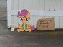 Size: 3264x2448 | Tagged: safe, artist:dilettantesucker, scootaloo, pegasus, pony, g4, bronybait, clothes, female, filly, foal, homeless, irl, photo, ponies in real life, scootabuse, scootalone, solo, torn clothes, will x for y
