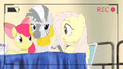 Size: 640x360 | Tagged: safe, artist:deannart, apple bloom, fluttershy, twilight sparkle, zecora, pony, zebra, .mov, shed.mov, andrea libman, animated, anime style, bedroom eyes, duo, equestria la, female, frame by frame, hooves on the table, implied tara strong, innocence.mov, microphone, recording, shocking the cast, stay out of my shed, tardy, voice actor joke, youtube, youtube link