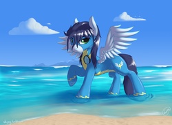 Size: 2500x1833 | Tagged: safe, artist:skipsy, soarin', pegasus, pony, g4, beach, clothes, goggles, male, solo, spread wings, stallion, uniform, wet, wet mane, wings, wonderbolts uniform