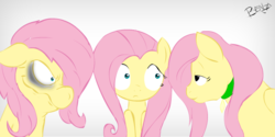 Size: 700x350 | Tagged: safe, artist:benja, fluttershy, oc, oc:futashy, .mov, futaverse, shed.mov, g4, female, intersex, pony.mov, self ponidox