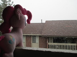 Size: 4608x3456 | Tagged: artist needed, safe, pinkie pie, g4, irl, photo, plushie