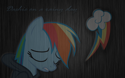 Size: 1440x900 | Tagged: safe, artist:hopeabandoner, rainbow dash, g4, clothes, cutie mark, emotional blackmail, hoodie, rain, sad, text, wallpaper