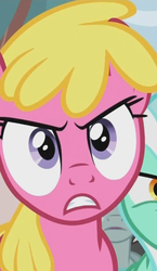 Size: 310x533 | Tagged: safe, screencap, cherry berry, lyra heartstrings, neon lights, rising star, earth pony, pony, g4, the super speedy cider squeezy 6000, angry, cherrymad, cropped, female, mare, offscreen character, solo focus