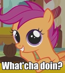 Size: 291x331 | Tagged: safe, scootaloo, g4, image macro, phineas and ferb