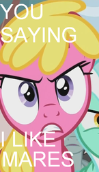 Size: 310x533 | Tagged: safe, edit, edited screencap, screencap, cherry berry, lyra heartstrings, neon lights, rising star, g4, the super speedy cider squeezy 6000, arial, hiimdaisy, image macro, meme, persona, persona 4, text