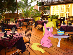 Size: 480x360 | Tagged: safe, edit, cherry berry, g4, ponies in real life, restaurant