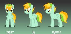 Size: 799x381 | Tagged: safe, artist:cat4lyst, oc, oc only, gradient background, magical lesbian spawn, my little pony genesis, offspring, parent:rainbow dash, parent:spitfire, parents:spitdash, reference sheet