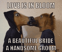 Size: 238x200 | Tagged: safe, animated, barely pony related, hoers, hoers mask, image macro, love is in bloom, lyrics, meme, song, text, uberhaxornova, wat