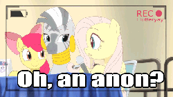 Size: 640x360 | Tagged: safe, artist:deannart, apple bloom, fluttershy, zecora, earth pony, pegasus, pony, zebra, innocence.mov, g4, animated, anime style, bedroom eyes, caption, convention, equestria la, female, frame by frame, gif, image macro, implied anon
