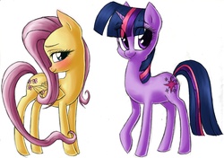 Size: 2293x1617 | Tagged: dead source, safe, artist:madelonetjj, fluttershy, twilight sparkle, pegasus, pony, unicorn, g4, blushing, duo