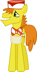 Size: 3050x5978 | Tagged: safe, artist:blueblitzie, carrot cake, earth pony, pony, g4, male, simple background, solo, stallion, transparent background, vector
