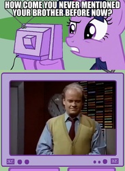 Size: 563x771 | Tagged: safe, twilight sparkle, g4, exploitable meme, frasier, frasier crane, hypocrisy, hypocritical humor, meme, niles crane, tv meme