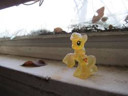 Size: 3648x2736 | Tagged: safe, applejack, g4, abandoned, blind bag, irl, photo, rural, toy, urban exploration