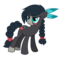 Size: 600x564 | Tagged: dead source, safe, artist:sambragg, oc, oc only, pony, braid, feather, simple background, solo, transparent background, vector