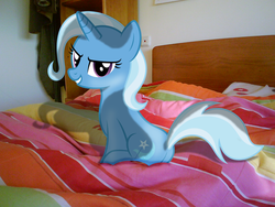 Size: 1280x960 | Tagged: safe, artist:infinitoa, artist:sparkdraws, trixie, pony, g4, bed, irl, photo, ponies in real life, solo