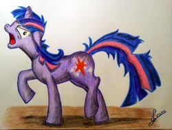 Size: 3264x2448 | Tagged: safe, artist:dgcdvaras, twilight sparkle, g4, angry, color, messy mane, pencil drawing, sketch