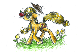 Size: 1562x1037 | Tagged: safe, artist:smartmeggie, applejack, earth pony, pony, g4, apple, balance, female, flower, grass, obligatory apple, solo, traditional art