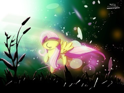 Size: 2844x2133 | Tagged: safe, artist:graphicbrony, fluttershy, g4, wallpaper