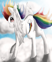 Size: 3000x3600 | Tagged: safe, artist:spiritofthwwolf, rainbow dash, pony, g4, female, male, solo, sonic the hedgehog, sonic the hedgehog (series), super rainbow dash