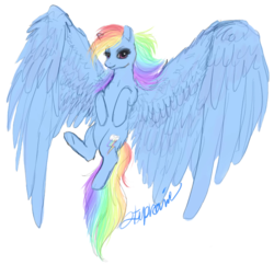 Size: 692x670 | Tagged: dead source, safe, artist:puddyrama, rainbow dash, pegasus, pony, g4, female, flying, impossibly large wings, large wings, mare, simple background, smiling, solo, spread wings, transparent background, wings