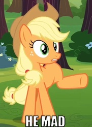 Size: 362x500 | Tagged: safe, edit, edited screencap, screencap, applejack, earth pony, pony, g4, spike at your service, female, image macro, mare, raised leg