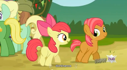 Size: 846x467 | Tagged: safe, screencap, apple bloom, apple honey, babs seed, half baked apple, wensley, earth pony, pony, apple family reunion, g4, butt, female, filly, foal, hub logo, male, plot, stallion, youtube caption