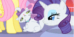 Size: 701x354 | Tagged: safe, screencap, fluttershy, opalescence, rarity, pony, g4, stare master, angry, animated, claws, female, hissing, loop, nuzzling, perfect loop