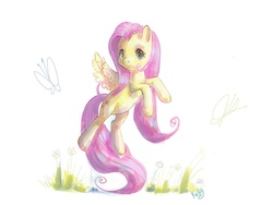 Size: 900x675 | Tagged: safe, artist:kellykatz, fluttershy, pony, g4, female, solo