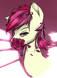 Size: 854x1166 | Tagged: dead source, safe, artist:inkytophat, roseluck, pony, g4, bust, female, mouth hold, rose, solo