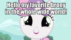 Size: 947x538 | Tagged: safe, sweetie belle, pony, g4, bronybait, cute, diasweetes, female, fourth wall, image macro, looking at you, smiling, solo