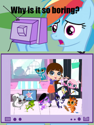 Size: 526x700 | Tagged: safe, rainbow dash, g4, blythe baxter, exploitable meme, littlest pet shop, meme, minka mark, penny ling, pepper clark, russell ferguson, sunil nevla, tv meme, vinnie terrio, zoe trent