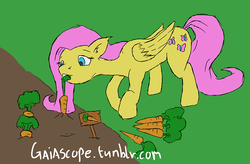 Size: 995x652 | Tagged: safe, artist:gaiascope, fluttershy, g4, 30 minute art challenge, carrot