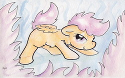 Size: 1174x732 | Tagged: safe, artist:slightlyshade, scootaloo, pony, g4, female, solo, traditional art