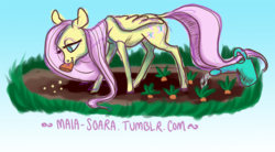 Size: 850x468 | Tagged: safe, artist:maia-soara, fluttershy, g4, 30 minute art challenge, garden, watering can