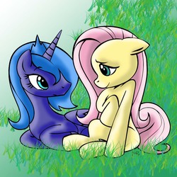 Size: 945x945 | Tagged: safe, artist:mast88, artist:megasweet, fluttershy, princess luna, g4, s1 luna