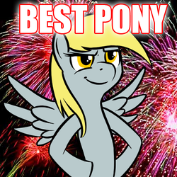 Size: 500x500 | Tagged: safe, derpy hooves, pegasus, pony, g4, best pony, female, fireworks, image macro, mare, underp