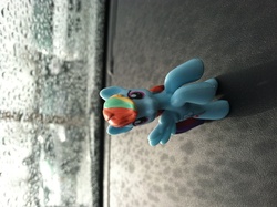 Size: 2592x1936 | Tagged: safe, rainbow dash, g4, irl, looking at you, photo, rearing, sideways, solo