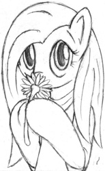 Size: 430x700 | Tagged: safe, artist:tg-0, fluttershy, pony, g4, bipedal, cute, female, flower, monochrome, simple background, sketch, smelling, solo