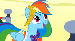 Size: 639x350 | Tagged: safe, screencap, rainbow dash, g4, the best night ever, reaction image, wat, youtube caption