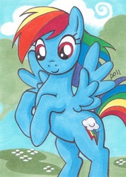 Size: 300x421 | Tagged: safe, artist:blightedangel, rainbow dash, pony, g4, female, solo, traditional art