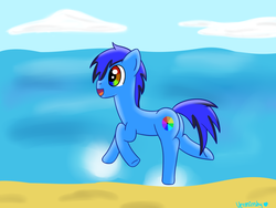 Size: 2000x1500 | Tagged: safe, artist:verminshy, oc, oc only, beach, commission, water