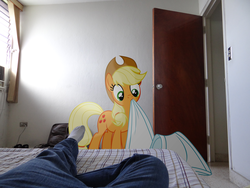 Size: 4896x3672 | Tagged: safe, artist:emedina13, applejack, human, g4, absurd resolution, bed, blanket, irl, photo, ponies in real life, pov