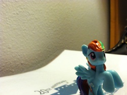 Size: 2592x1936 | Tagged: safe, rainbow dash, g4, irl, rearing, solo, spread wings, wings