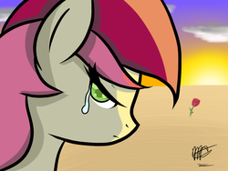 Size: 1024x768 | Tagged: safe, artist:mister-markers, roseluck, earth pony, pony, g4, crying, desert, female, looking at you, looking back, looking back at you, rose, solo, sun, sunset