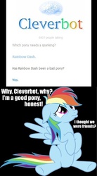 Size: 378x684 | Tagged: safe, rainbow dash, pegasus, pony, g4, cleverbot, female, implied spanking, mare, meme, text